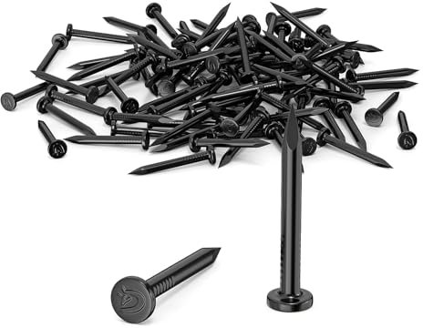 100 Chiodi da 30MM di Acciaio, Chiodi in Acciaio per uso su Cemento, Mattoni, Intonaco e Legno, Chiodi Zincati, per Lavori in Legno, Mattoni, uso Universale per Interni ed Esterni(Nero)