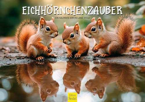 Edition Seidel Calendario premium 2026 con diseño de ardilla, formato DIN A3, calendario de pared, animales, animales jóvenes, bosque, naturaleza, amantes de los animales, Melanie Viola