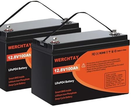 Lifepo4 2 x 100Ah 12V Batterie, 2560Wh Energie Lithium Akku eingebaut in 100A BMS, Max 25000 Zykluszeiten und Lebensdauer, Ideal für Solaranlage, Wohnmobil, Stromspeicher, Off-Grid