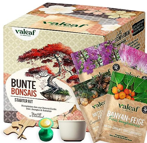 valeaf Bunte Bonsai Starter Set für deinen Bonsai Baum I Anzucht Set m. 4 Bonsai Samen u. Bonsai Schale im Bonsai Starter Kit I Bonsaisamen Exotische Samen I Bonsai Tree Bonsaizucht I valeaf Samen