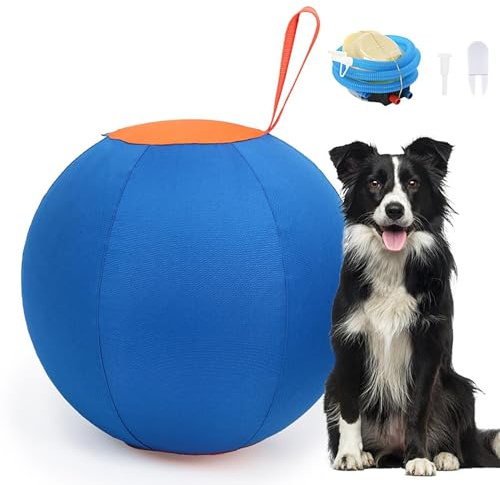YuuFcy Herding Ball für Hunde - PVC Hundeball Mit Reißverschluss und Griff, 43cm Groß, Training Spiel für Mittelgroße und Große Hunde, Komplettes Set Mit Handpumpe (A)