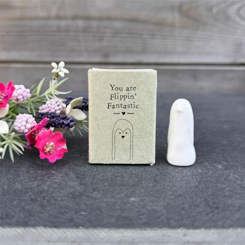 Luck and Luck Personalised Small Porcelain Matchbox Penguin, You are flippin fantastic, Friendship Boxed Gift, Pocket Hug, Keepsake Mini Ornament, Porcelain Token Gift