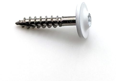 Vis à bois tête rondelle 4,5x25 mm RAL 9016 blanc pur tête large inox A2 Tx par 25