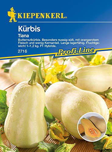Kiepenkerl 2716 Kürbis Tiana F1 (Kürbissamen)