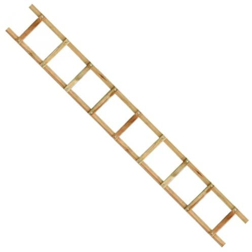 Echelle de Toit - AMI-HAUTEUR - 4 m de Haut - Bois