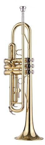 SCTOU Trompeten Standard-Bb-Messingtrompete Mit Mundstück, Tragetasche, Zubehör, Stimmgerät, Blasinstrument