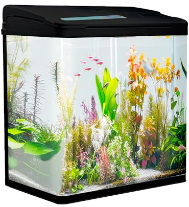 VIALIA Aquarium Komplettset 8 Liter, LED, Pumpe & Filter, Schwarz | Sofort startklares Nano Glasbecken, 24 x 17 x 29 cm, mit gebogener Panoramascheibe – für Einsteiger, Büro und Wohnzimmer