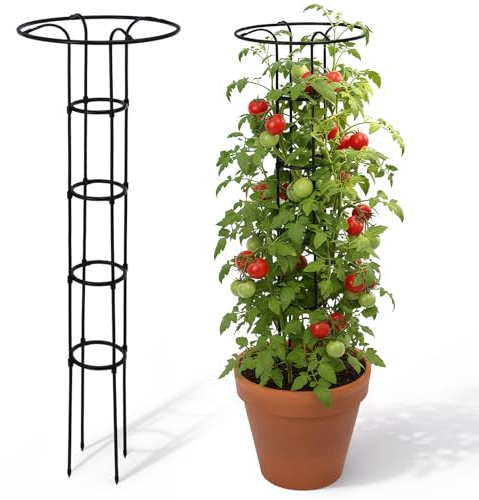ElaraBerry 2 Pcs 63 Inch Garden Obelisk Trellis for Climbing Plants Outdoor, Mushroom Top Flower Trellis Rustproof Metal Tomato Trellises for Potted Plants Rose Climbing Vine Tomato Cucumber Grape
