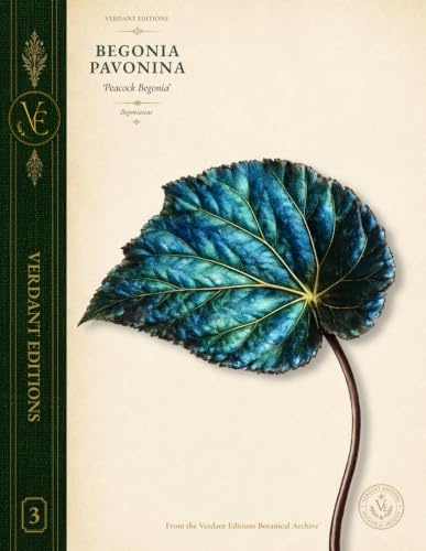 Verdant Editions No. 3: Begonia pavonina 'Peacock Begonia' Botanical Journal