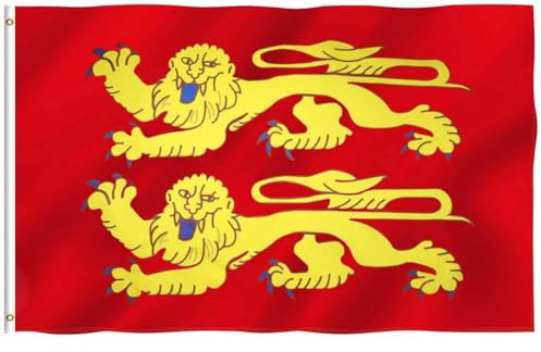 Hollylife Drapeau de la Basse-Normandie 150 x 90 cm avec 2 Œillets Métalliques - France Flag Fanion Tissue pour Festivals, Manif, Decoration Extérieur Jardin