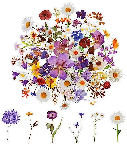 Set di 120 adesivi floreali per scrapbooking, fiori naturali estetici, adesivi floreali trasparenti per scrapbooking, artigianato, biglietti, computer portatili, (60 stili)