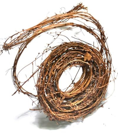 QLEUIFT 1 PCS Ghirlanda Natalizia con Ramo in Rattan e Ramo di Natale, Decorazione per Le Vacanze di Natale, Fai da Te, Matrimonio, Parete della Porta (4,6 m)