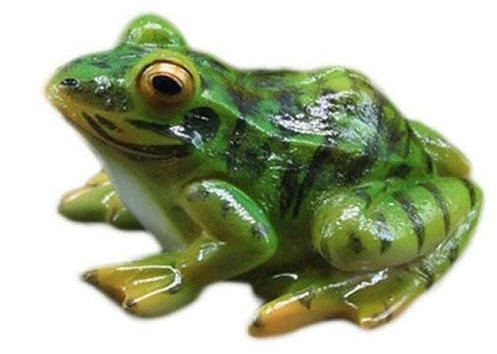 Fituenly 1 Figurine Miniature de Grenouille, Grenouille en résine en 3D, décoration de Grenouille simulée, Statue de Grenouille Artificielle pour Jardin, Bassin, terrasse, Petit Paysage.