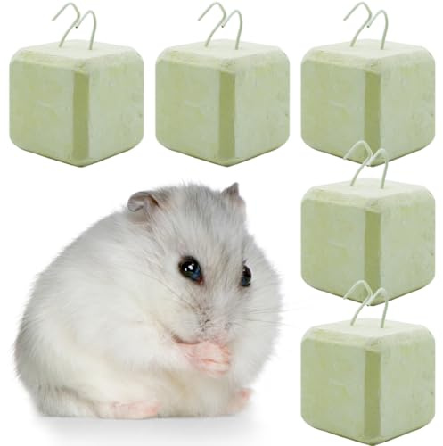 WUSJCOF 5 PCS Tooth Grinding Stone,Volcanic Stone,Molar Stone,for Hamsters,Small Pets,Rabbits,Chinchillas,Guinea Pigs