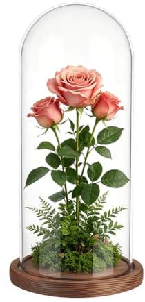 UNICRAFTALE Klare Glasglocke Mit Braunem Sockel Handgefertigte Glasglocke Antike Sammlerstücke Deko Glockenglas Für Sukkulenten Pflanzen Medaillen Fotos Lichterketten Tischdekoration 142x295mm