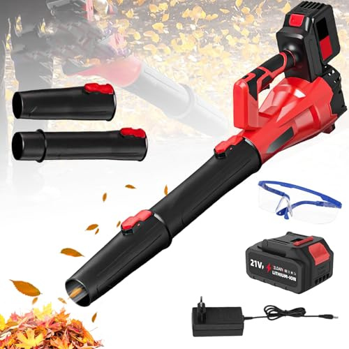 Souffleur de Feuilles sans Fil avec 2 Batteries 3000mAh,6 Vitesses,avec Lunettes,30000RPM,Souffleur Puissant à Batterie,Souffleur Jardin pour Souffler Les Feuilles,Neige et Poussièr (1 Batterie)