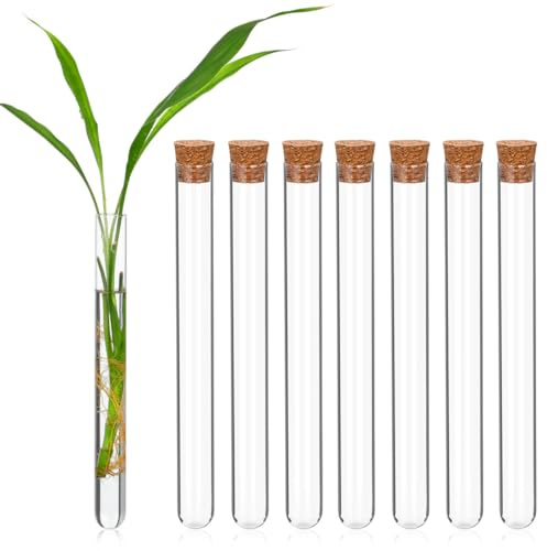 MAGICLULU Lot de 8 Tubes à Essai en Verre 20 x 200 mm avec Bouchons en Liège Naturel, Éprouvette Transparente à Fond Rond pour Laboratoire Épices Fleurs Mariage Décoration et Rangement Cuisine