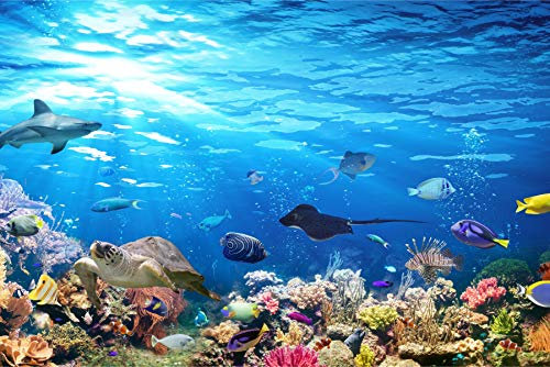 Muralo Tapete Selbstklebend Natur, Ozean, Meer, Wasser, XXL - 360x240 cm