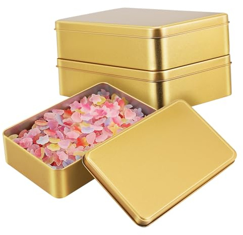 TOPBATHY Scatola Da 3 Pezzi Scatola Di Banda Stagnata Contenitori Per Alimenti Contenitore Di Barattolo Di Metallo Ermetico Biscottiera Portagioie Biscotto Portapillole Cursore