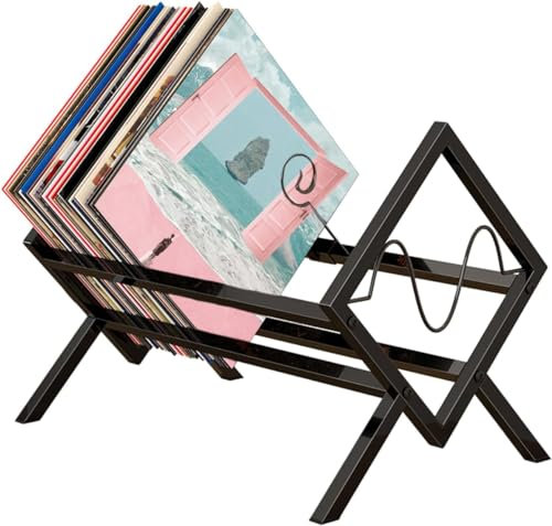 GRARRO Vinyl schallplatten aufbewahrung für 80–100 LPs Metall lp Schallplattenständer einfach zu montieren, für Alben, CDs, Bücher, Zeitschriften. Platzsparend, stilvoll und langlebig