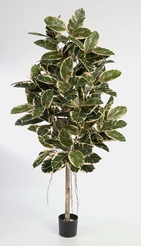 artplants.de Künstlicher Gummibaum Devi, 226 Blätter, weiß - gelb - grün, 210cm - Kunst Gummibaum - Deko Baum