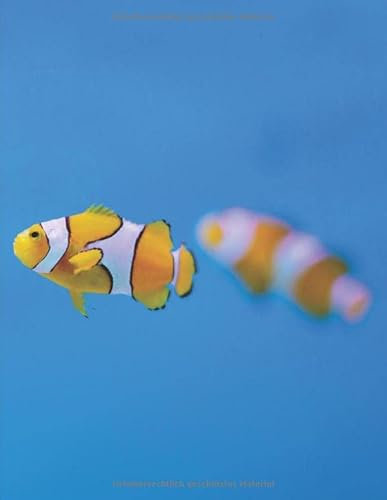 Aquarium Tagebuch: Planer, Notizbuch, Bestandsbuch, Futterplan für alle Auqarianer und Aquaristik Fans ♦ Logbuch für über 100 Einträge ♦ A4+ Format ♦ Motiv: Clownfisch
