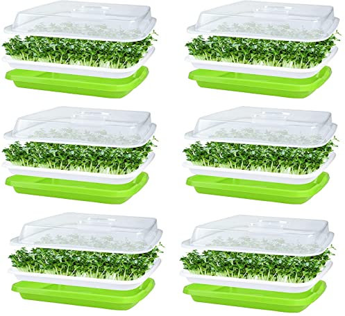 KAHEIGN 6Pcs Seed Sprouting Trays with Lid, 32cm x 26cm Large Capacity Germination Tray BPA Free Healthy Hydroponic Propagator with 24Pcs Planting Papers for Growing Mung Beans, Alfalfa, Wheat Grass