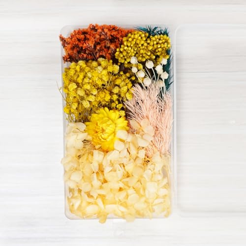 Anevous Getrocknete Blumen, Trockenblumen zum Basteln, Getrocknete Blumen, DIY Getrocknet Blumen Set, Gemischte Getrocknete Blätter für Kunst Basteln Handwerk Scrapbooking Dekoration,Orange Gelb