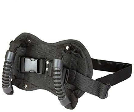 QOTSTEOS Motorcycle Passenger Safety Belt, Oxford Motorcycle Pillion Grab Handles, Adjustable Non-Slip Protection Motorcycle Strap, Universal Motorcycle Seat Strap for Children