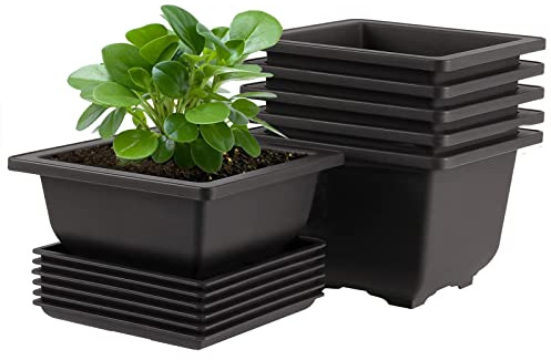 MissFox Bonsai Schale 6 Stücke Blumentopf mit Untersetzer Bonsai Topf aus Kunststoff 12x12x6cm Eckig Bonsai Trainingstöpfe Bonsai Set für Garten Wohnzimmer Büro