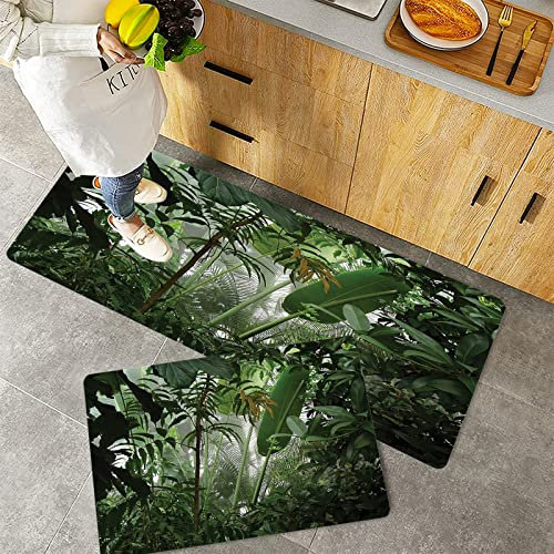 Küchenteppich Teppich Läufer Küchenläufer 2 Stück rutschfest,Regenwald-ations Set, Tropischer Regenwald Erhaltung Feuchtigkeit Palme Wilde Umwelt Misty, Waschbar für Flur Küche 40 x 100 cm+40 x 60 cm