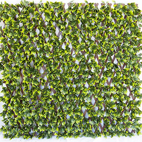 TENAX Divy 3D Trellis 1,00x2 m Verde, Enrejado Extensible de PVC Recubierto con Hojas de Polietileno, Occultación para Balcones y Terrazas, Decoración de Paredes