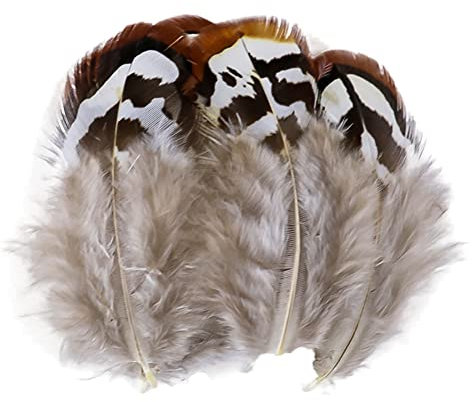 100 Natur Federn zum Basteln, Deko Bastelfeder,Klein Hühnerfeder für DIY Traumfänger Halloween Kostüm Karneval Masken Weihnacten Kranz Ostern Zubehör, Schwarz Braun Grün Federn, Crafts Feather,)5-10CM