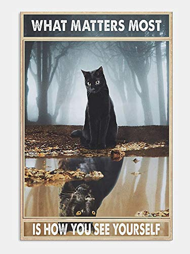 Metal Wall Decor, Garden Sign, Gift Street Sign – Black Cat Vintage Metal Sign for Cat Lovers, Funny Bar Café Home Decor 8x12 Inch