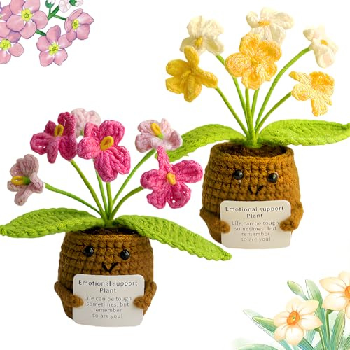 Xzyden Crochet Flowers,2 Pcs Crochet Plants with Emotional Card, Knitted Flowers for Emotional Support Gift, Positive Crochet Motivational Gifts for Colleagues& Friend