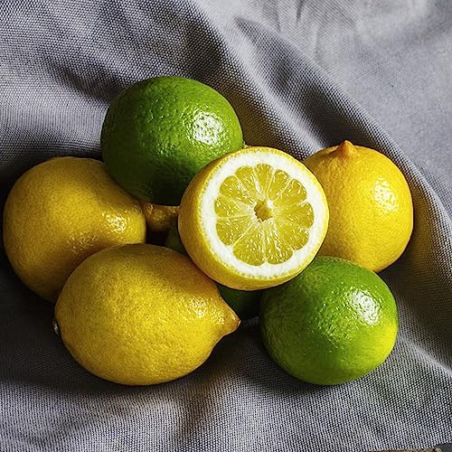 semillas de limonero - orgánicas jardín variedades antiguas Decoración exteriores interior 120pcs