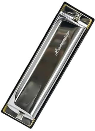 Harmonica 10 Hole Blues Harmonica 20 Note Metal Top Plate Resin Comb Phosphor Bronze Reeds(Sliver)