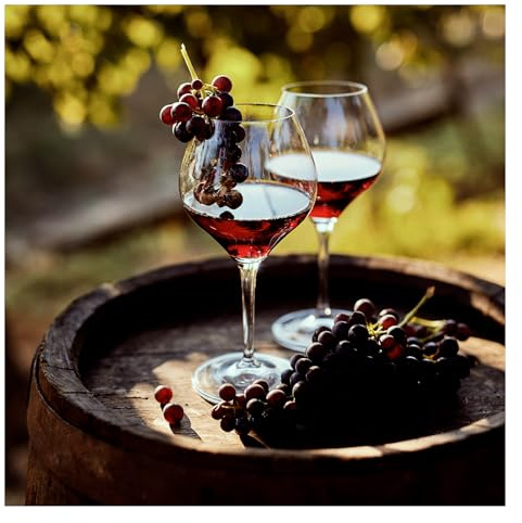 STYLER Glasbild Glass Wine | Küche Wandbild Glas Bild | einteilig 30x30 cm Quadratisch | Wein Weinglas Glas Rotwein Trauben Weintrauben | Küchenbild Deko modern vintage