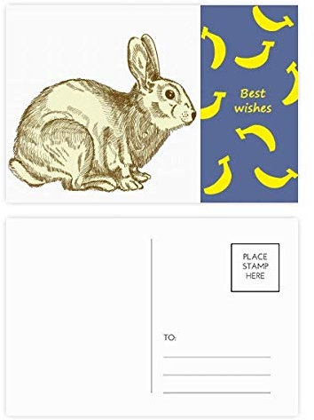 Ostern Religion Festival Bunny Culture Banana Postkarten-Set, Danksagungskarte, Postkarte, Seite Postkarten, 20 Stück