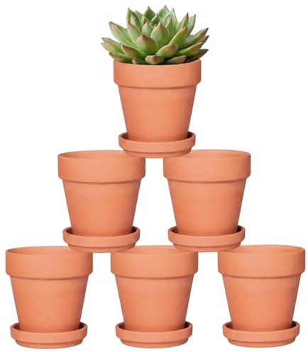 Hipothoe 10cm Terrakotta Töpfe mit Untertasse - 6er Pack Tonblumentöpfe mit Drainage, Ideal für Pflanzen, Kunsthandwerk, Hochzeitsbevorzugung