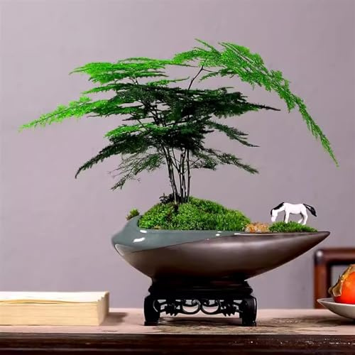 Generic Small Bonsai Tree Fake Plants Artificial Bonsai Tree for Room Desk Office Living Room Décor Creative Gifts Ornaments