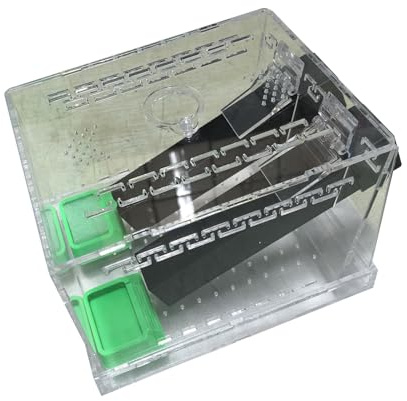 DAYnagh Box Habitat Grandi Grilli Trasparenti Facili da Pulire La Base Staccabile E Coperchio Rimovibile per L'osservazione degli Insetti Educativi per La Casa