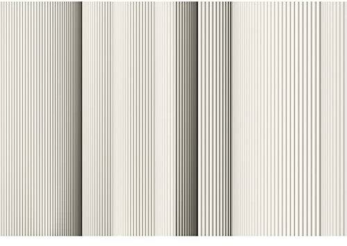 BRICOFLOR | Moderne Tapete weiß grau gestreift | 3D Vlies Fototapete mit Streifen ideal für Wohnzimmer und Büro | Besondere Streifentapete in Schwarz Weiß | 400 x 270 cm