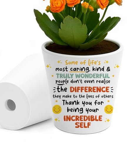 Red Ocean Thank You Gift for Someone Special Teacher Volunteer Tutor Mentor Friends Family Plant Pot 10cm x 9cm Thank You Gift for Teaching Assistant Mentor Nurse Doctor