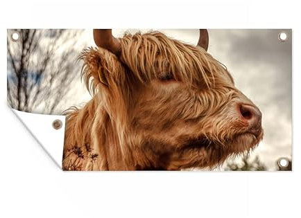 MuchoWow Outdoor-Poster Poster Wanddeko draußen Deko Garten Gartenposter 60x30 cm Scottish Highlander - Strauch - Heidekraut