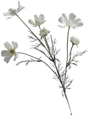 5 x pastorale Chrysanthemen-Zweig, künstliche Blumen, Gänseblümchen, Gesang, Blumen, Hochzeit, Party, Vase, Heimdekoration, Ornamente, Foto-Requisiten (Farbe: Weiß)