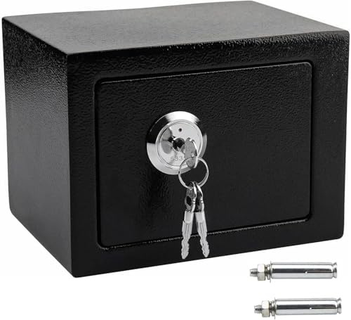 Rynli 4.6L Security Steel Small Safe Box Fireproof and Mountable Home Safe, Perfect Money Cash Storage Box Comes with Safe Accessories and 3 Key - Ideal for Office, Home, and Hotel Use