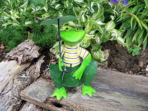 GH Unbekannt Zaunhocker Frosch mit Sonnenschirm