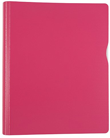 Idena 10071 – ringbok, DIN A4, D-ringmekanism, hallon