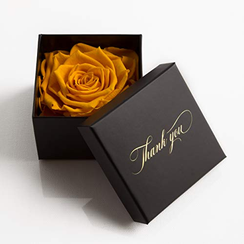 ROSEMARIE SCHULZ Heidelberg Ewige Rose in Box 3 Jahre haltbar Rosenbox Thank You Danke Geschenk (Gelb, 1 Rose)